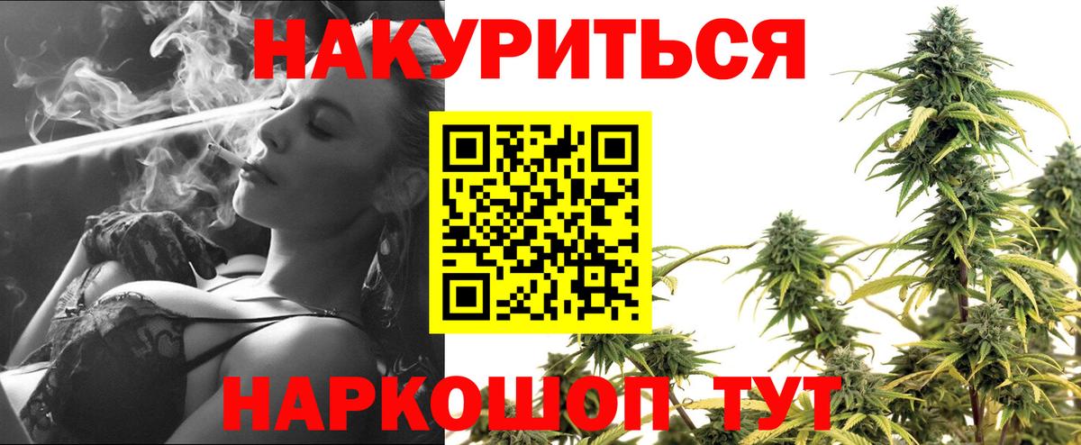 Конопля сатива Рязань